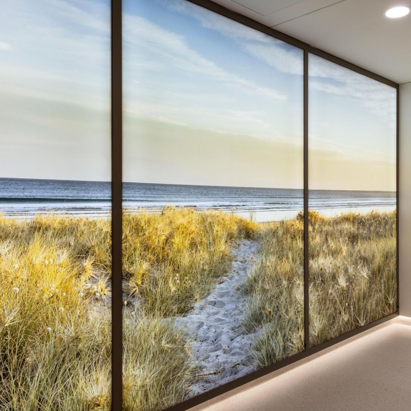 AUCKLAND RADIOLOGY ONCOLOGY – GREVILLE ROAD