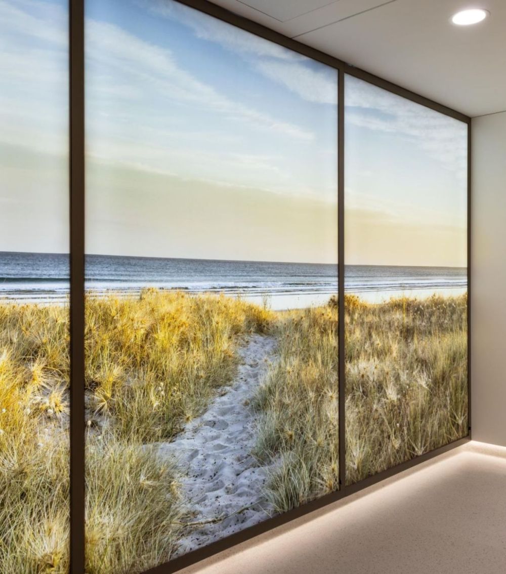 designing and delivering colour and acoustics within healthcare