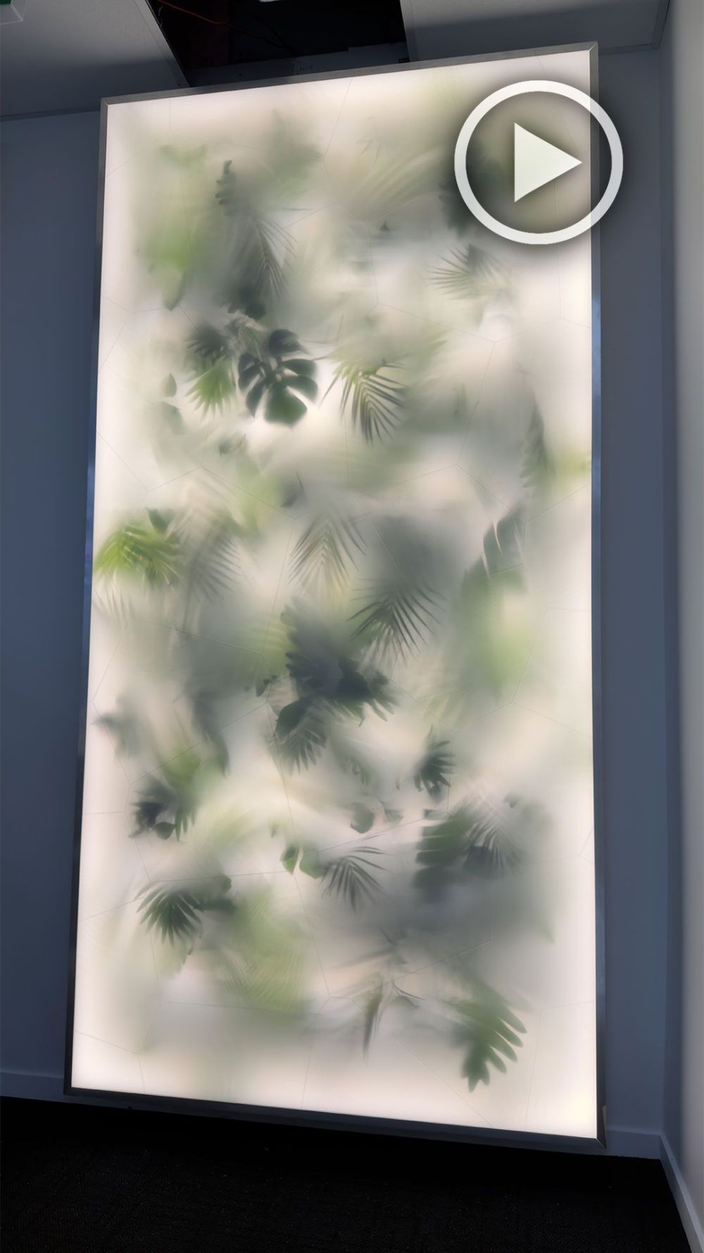 Illuminated Plant Walls: The Complete Guide to Biophilic Lighting Design