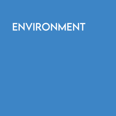 Environment