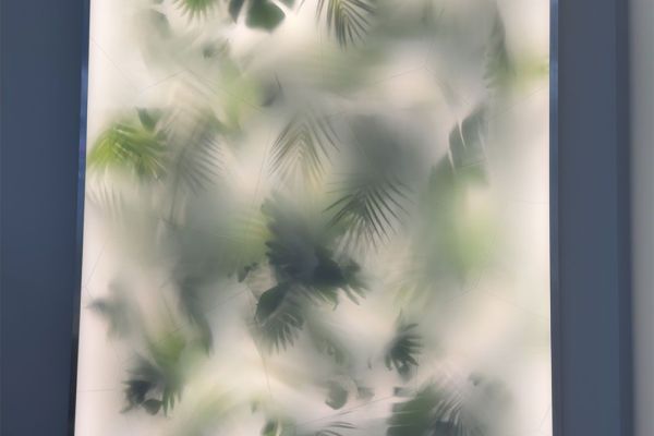 Illuminated Plant Walls: The Complete Guide to Biophilic Lighting Design